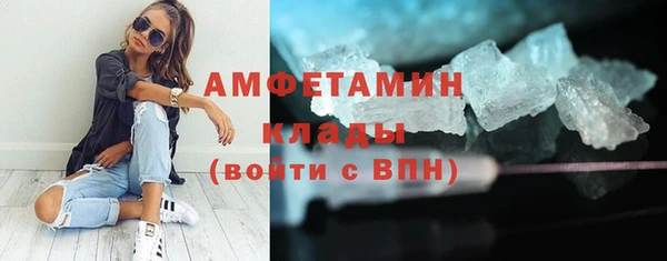 ПСИЛОЦИБИНОВЫЕ ГРИБЫ Осинники