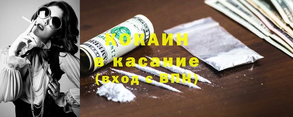 шишки Абинск